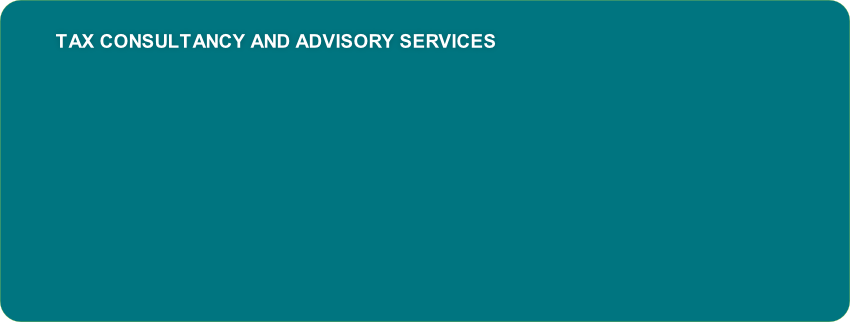   Tax Consultancy&nbsp;and Advisory Services 
